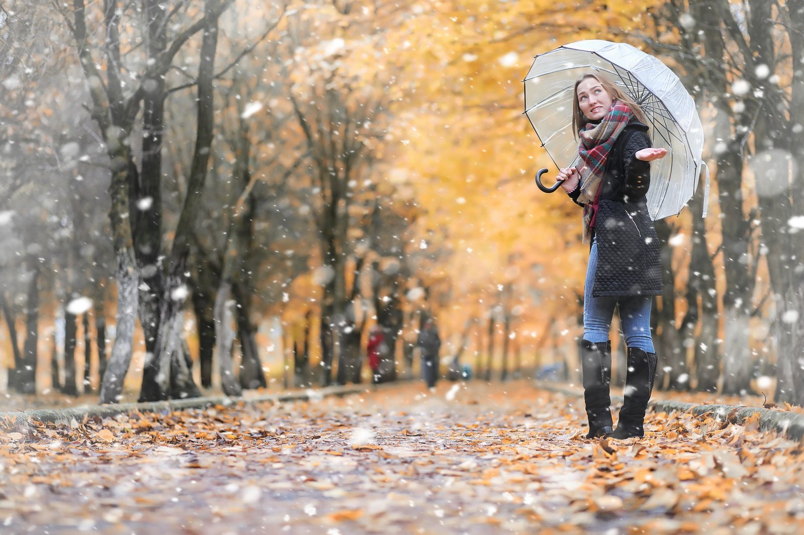 Jahreszeitenwechsel – Herbst und Winter